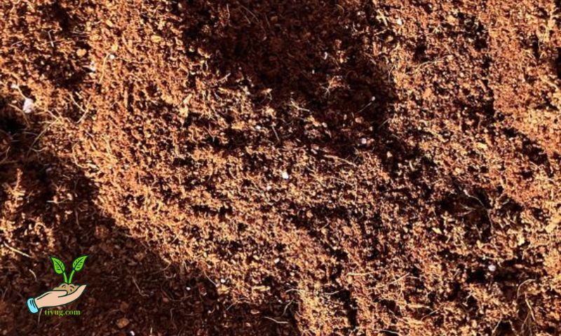 Methods to Improve Barren Soil