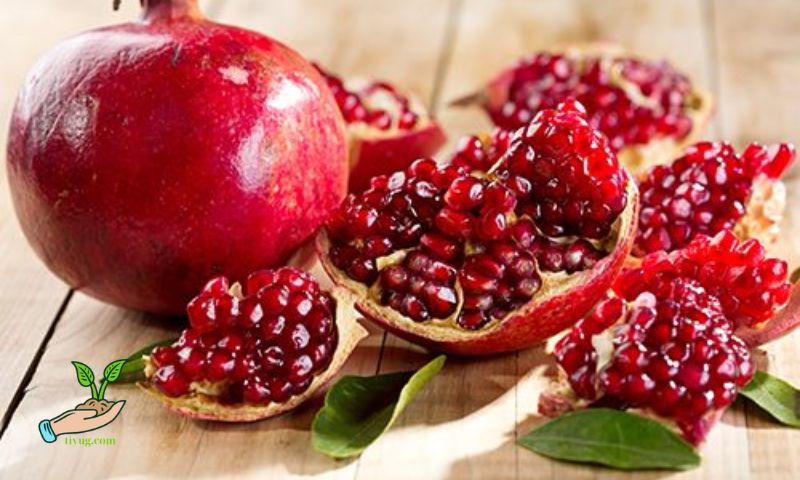 Indian Red Pomegranate